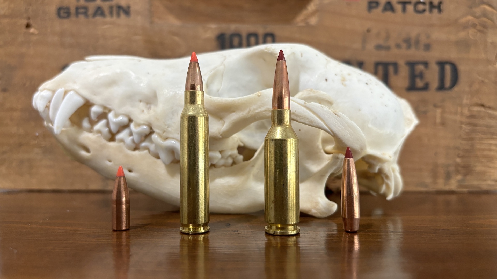 Various caliber ammunition rounds with 22 arc round for comparison